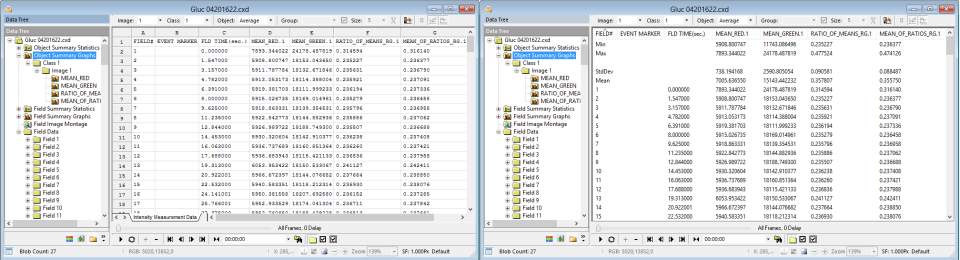 Spreadsheet Table Views